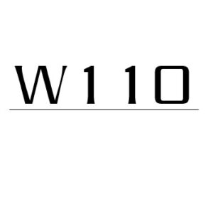 W110 Parts