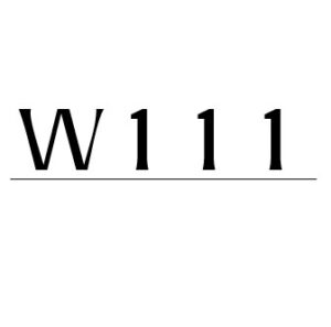 W111 Parts